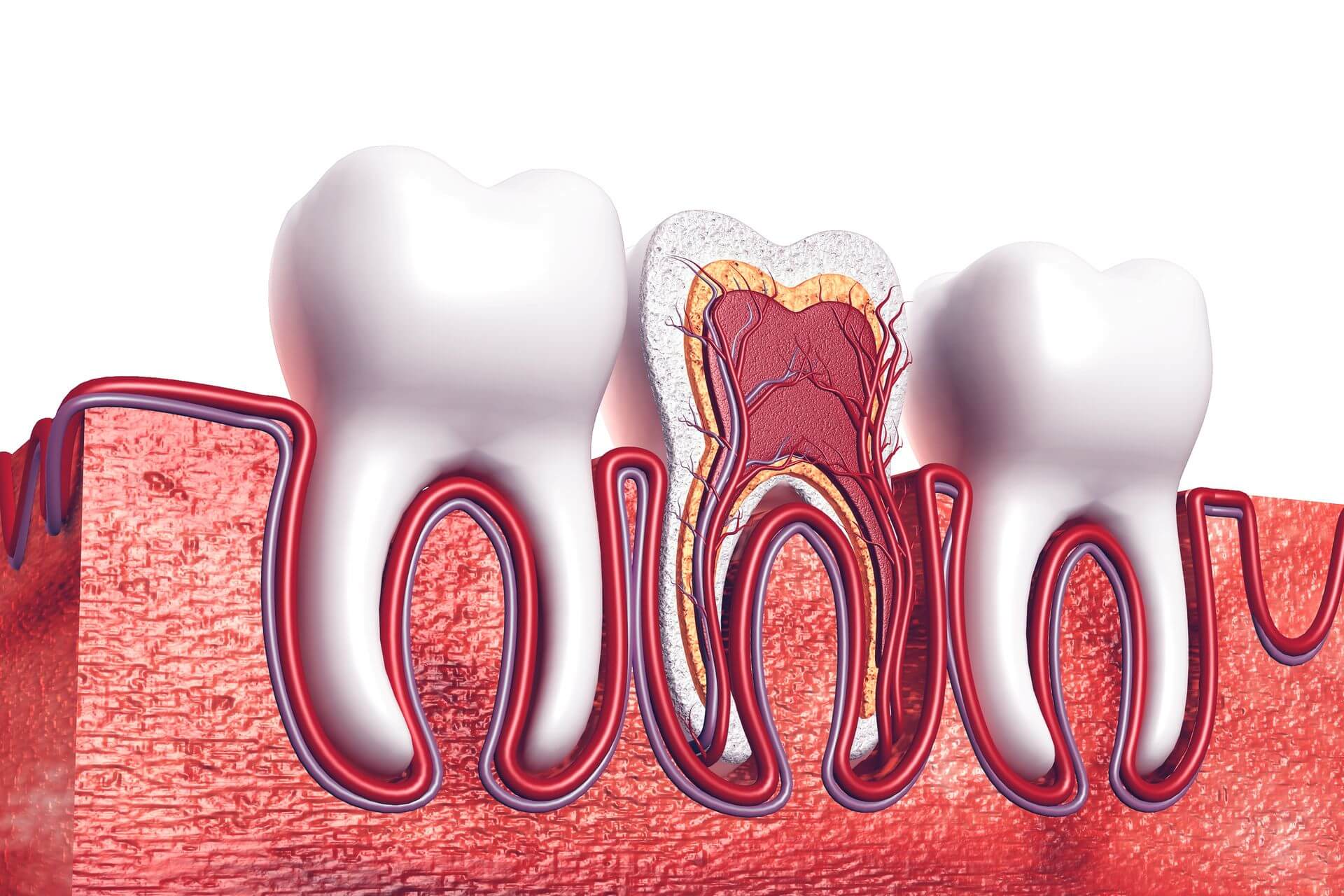 esperti in devitalizzazione ed endodonzia